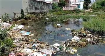 बाद 52में गंदगी का अंबार, वार्ड वासी हो रहे परेशान, वार्ड पार्षद अजय वर्मा वार्ड की समस्याओं से अनजान