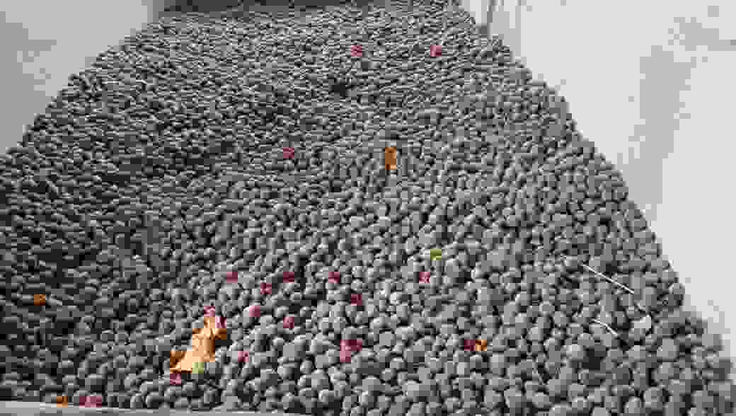 CM बघेल की वनवासियों को बड़ी सौगात, हर साल 502 करोड़ रुपये की बढ़ी आय