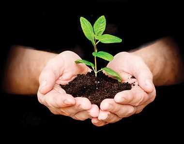 सरस्वती नगर थाना परिसर में एस॰एस॰पी॰अजय यादव ने संवेदना कक्ष का शुभारंभ कर किया वृक्षारोपण।